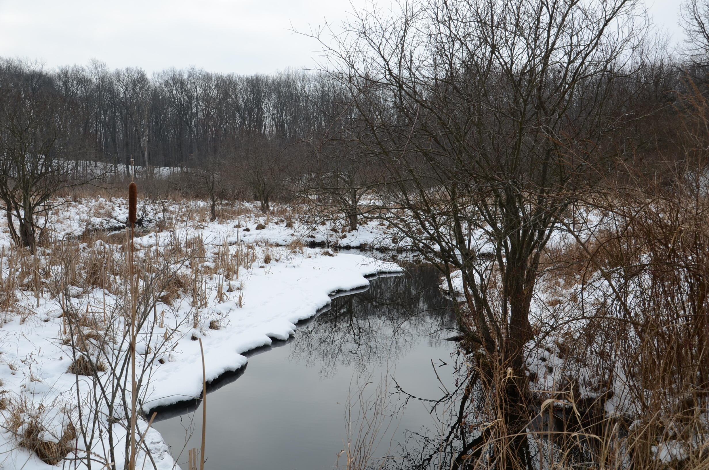 Dew Road Horton, MI 49246 - Photo 21 of 42 DSC_4440
