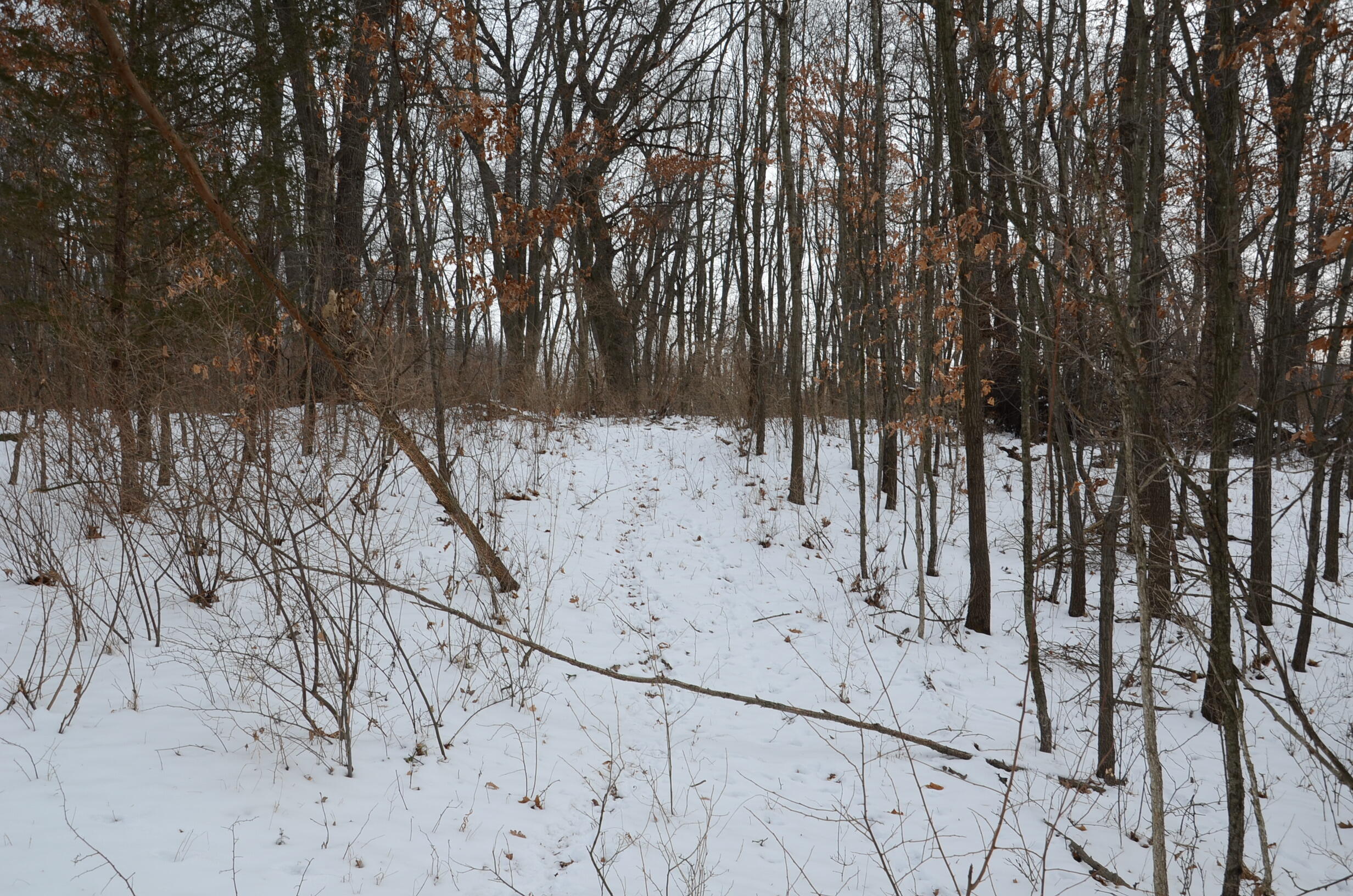 Dew Road Horton, MI 49246 - Photo 22 of 42 DSC_4441