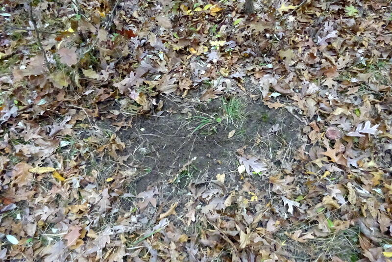 Dew Road Horton, MI 49246 - Photo 26 of 42 deer scrape 1
