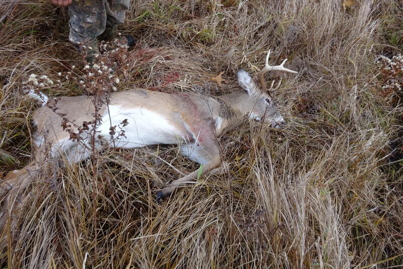 Dew Road Horton, MI 49246 - Photo 27 of 42 buck pic 2