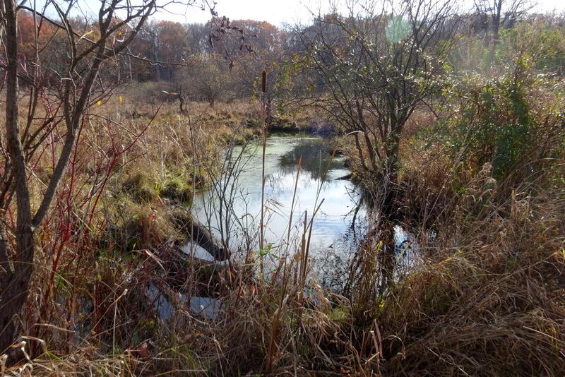 Dew Road Horton, MI 49246 - Photo 29 of 42 stream 1
