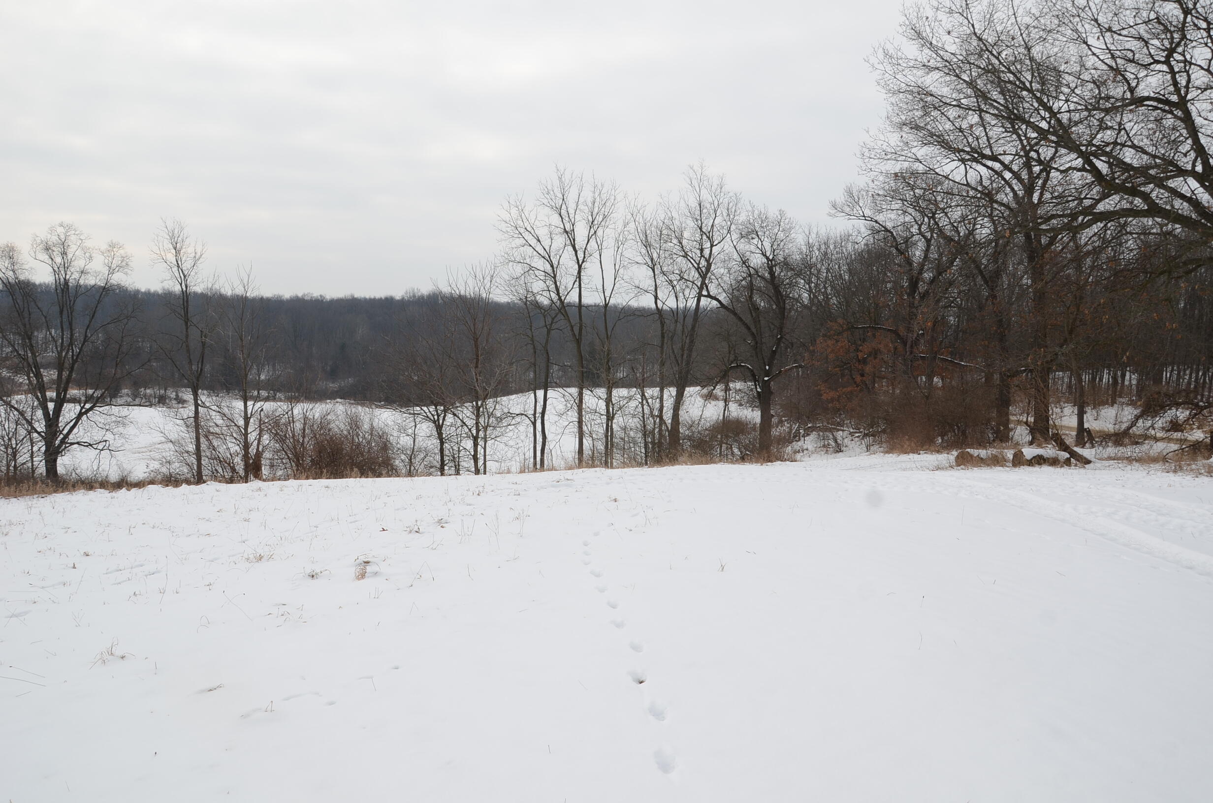 Dew Road Horton, MI 49246 - Photo 3 of 42 DSC_4425
