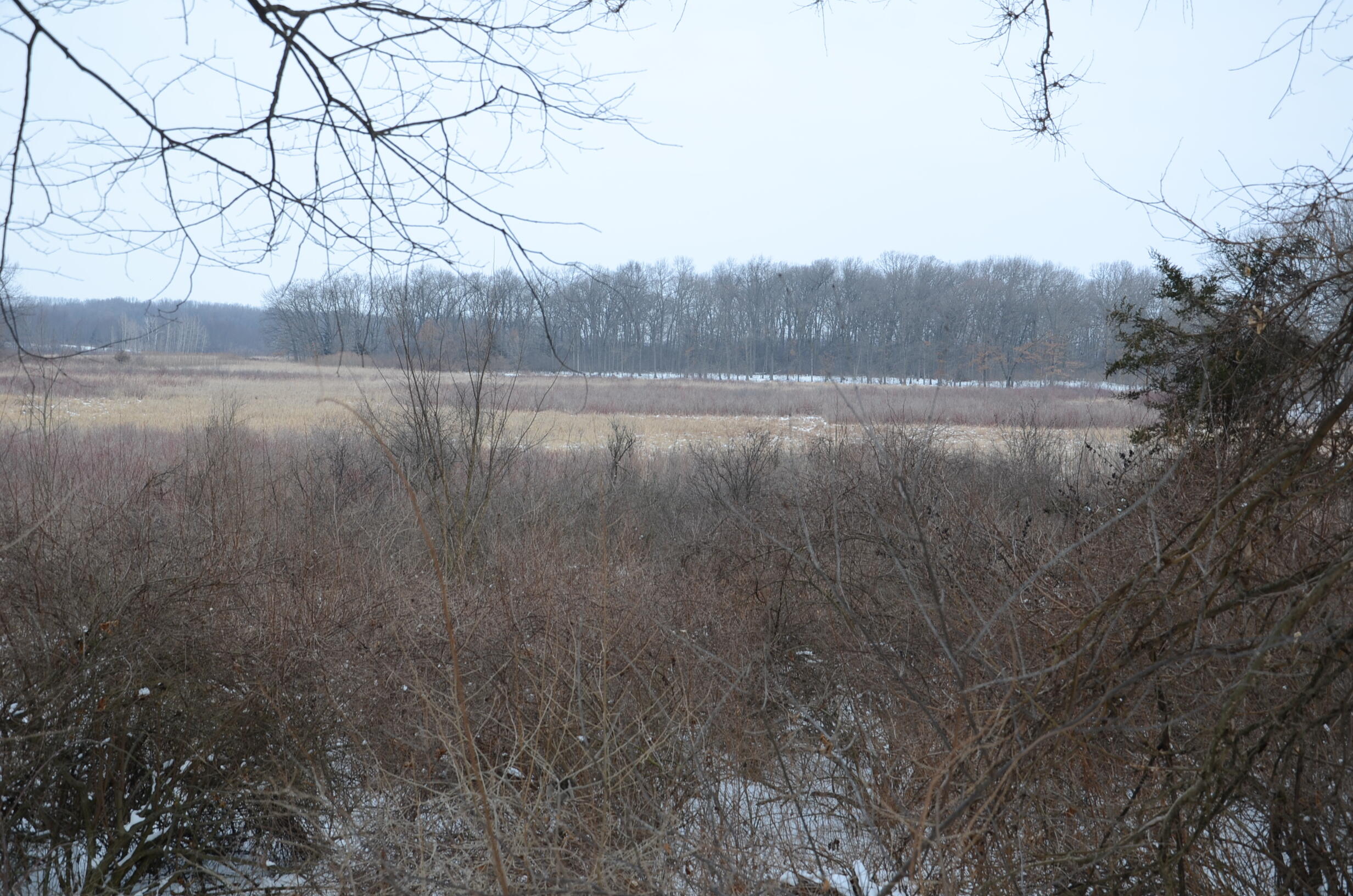 Dew Road Horton, MI 49246 - Photo 33 of 42 DSC_4449
