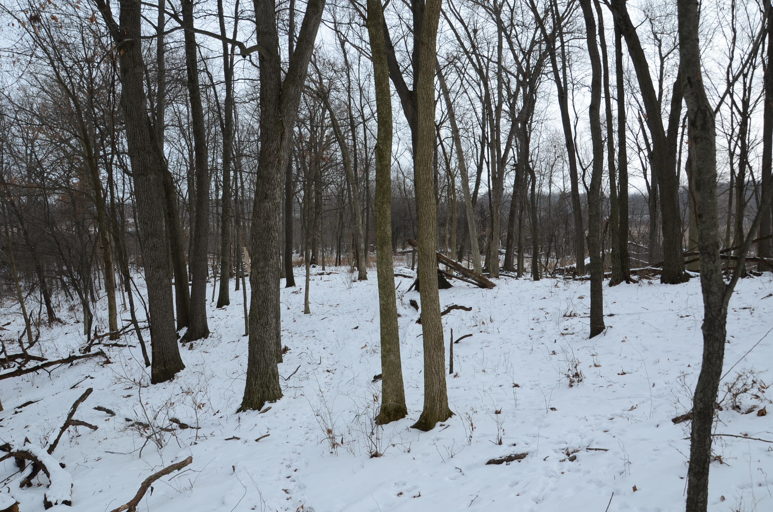 Dew Road Horton, MI 49246 - Photo 34 of 42 DSC_4450