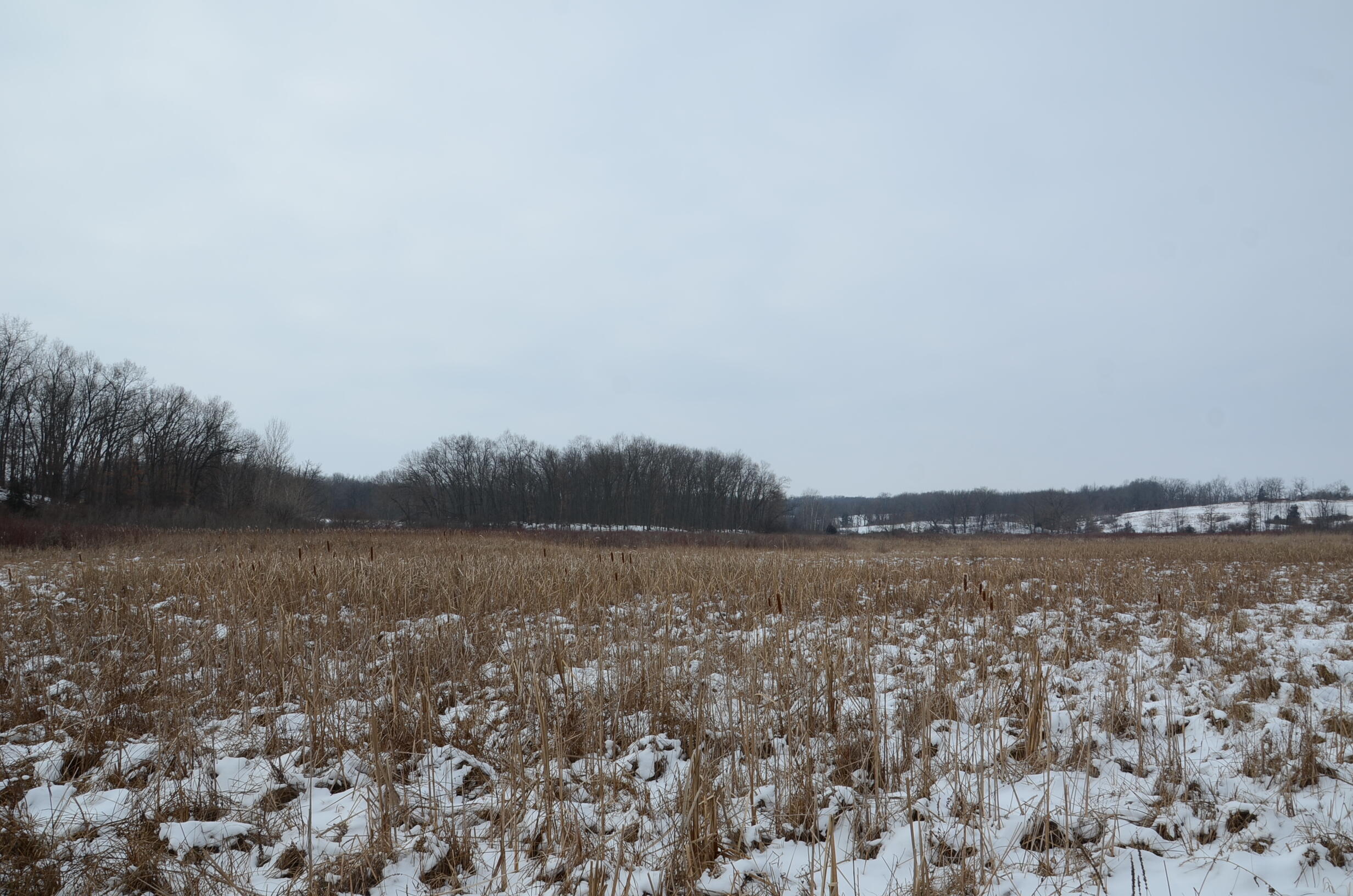 Dew Road Horton, MI 49246 - Photo 38 of 42 DSC_4454