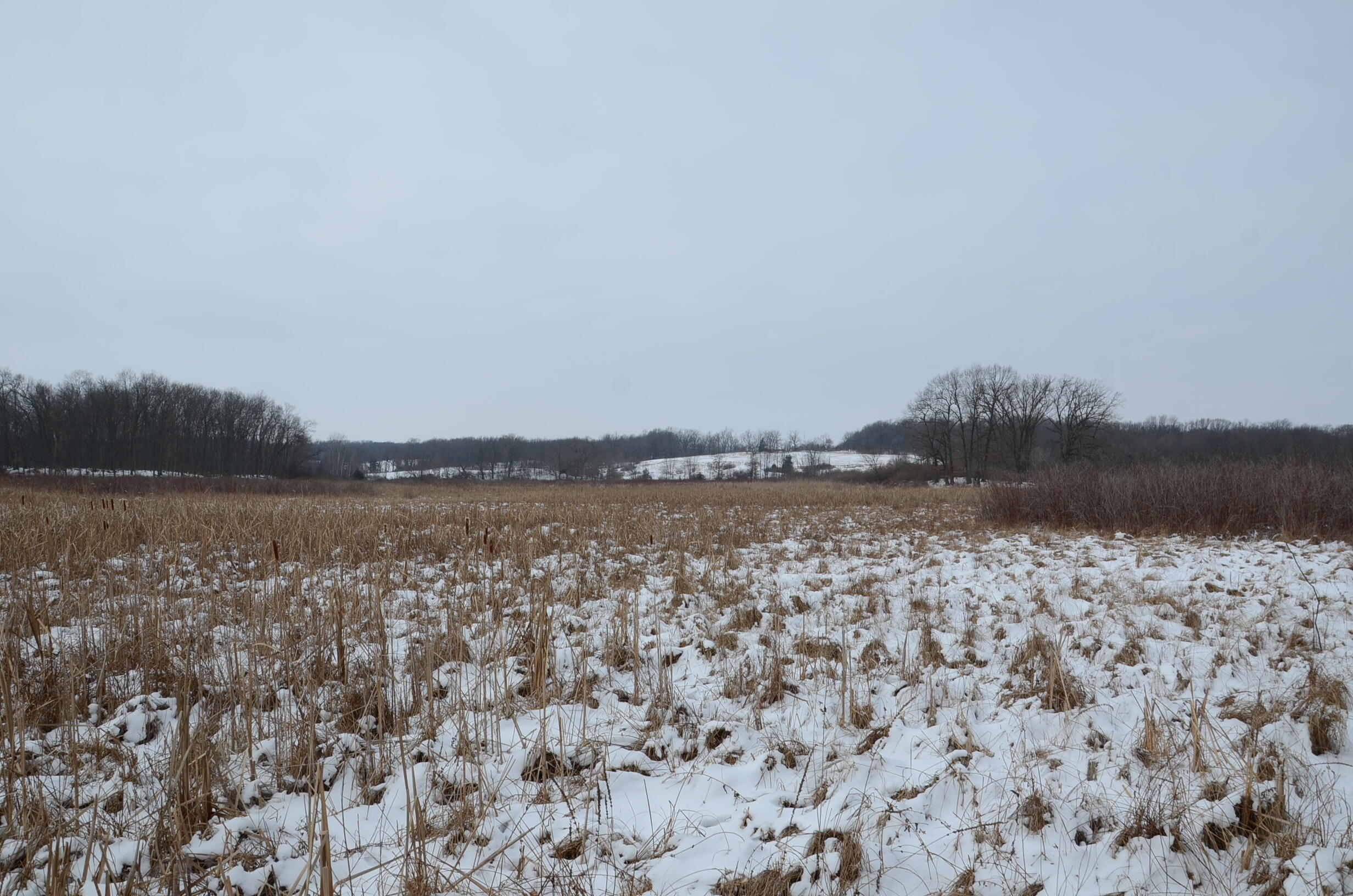 Dew Road Horton, MI 49246 - Photo 39 of 42 DSC_4455