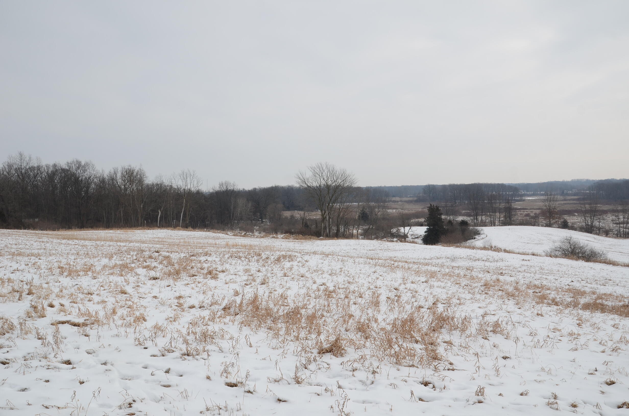 Dew Road Horton, MI 49246 - Photo 5 of 42 DSC_4427