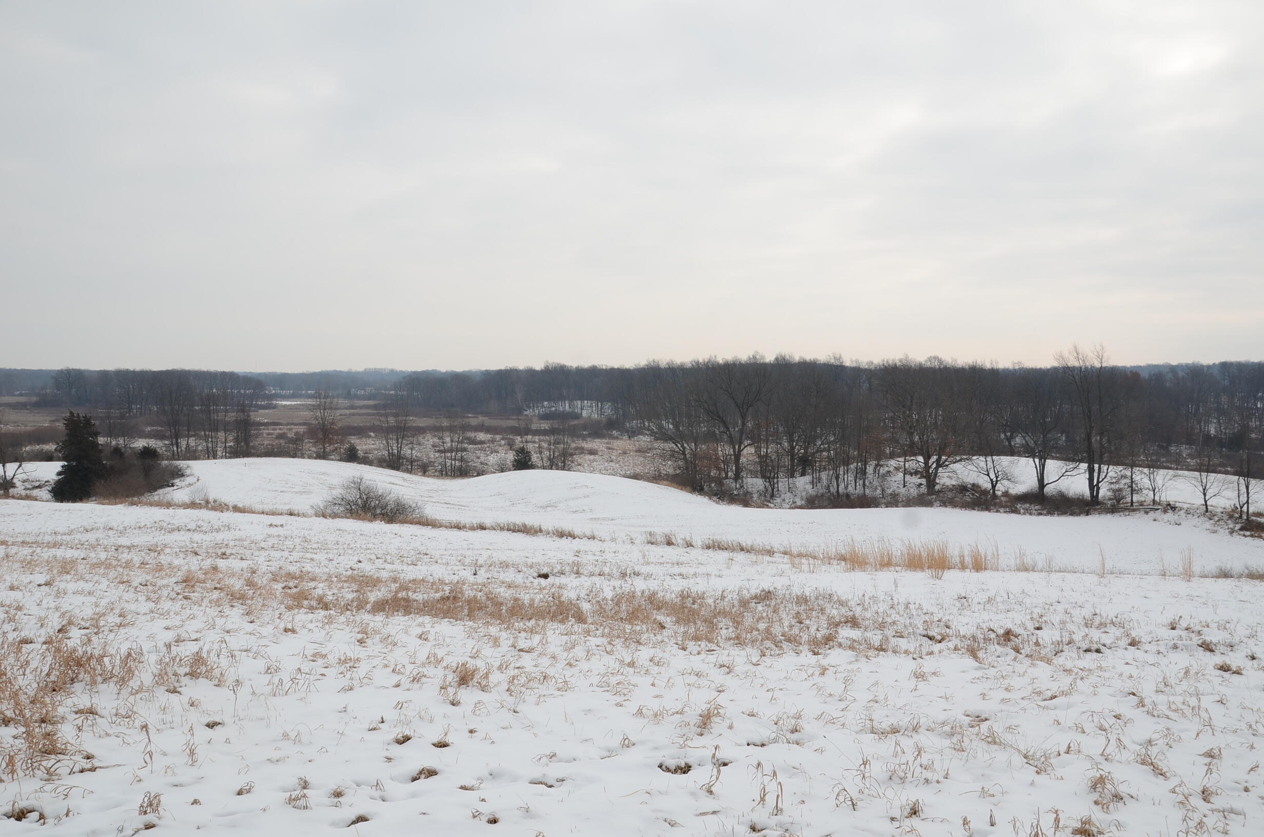 Dew Road Horton, MI 49246 - Photo 6 of 42 DSC_4428