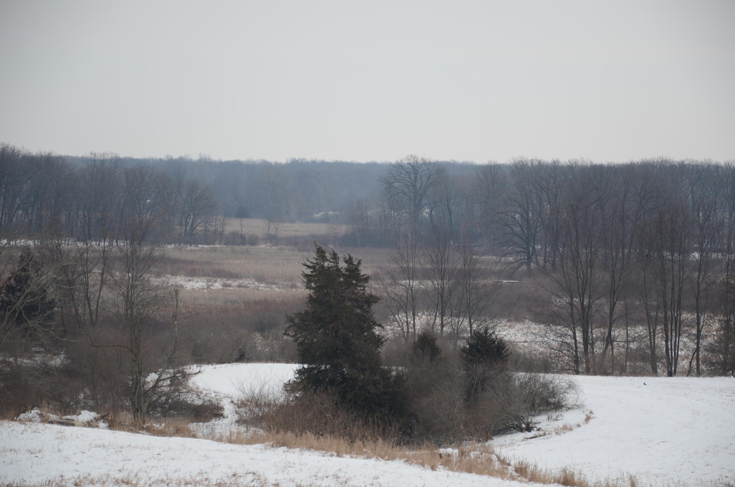 Dew Road Horton, MI 49246 - Photo 8 of 42 DSC_4431