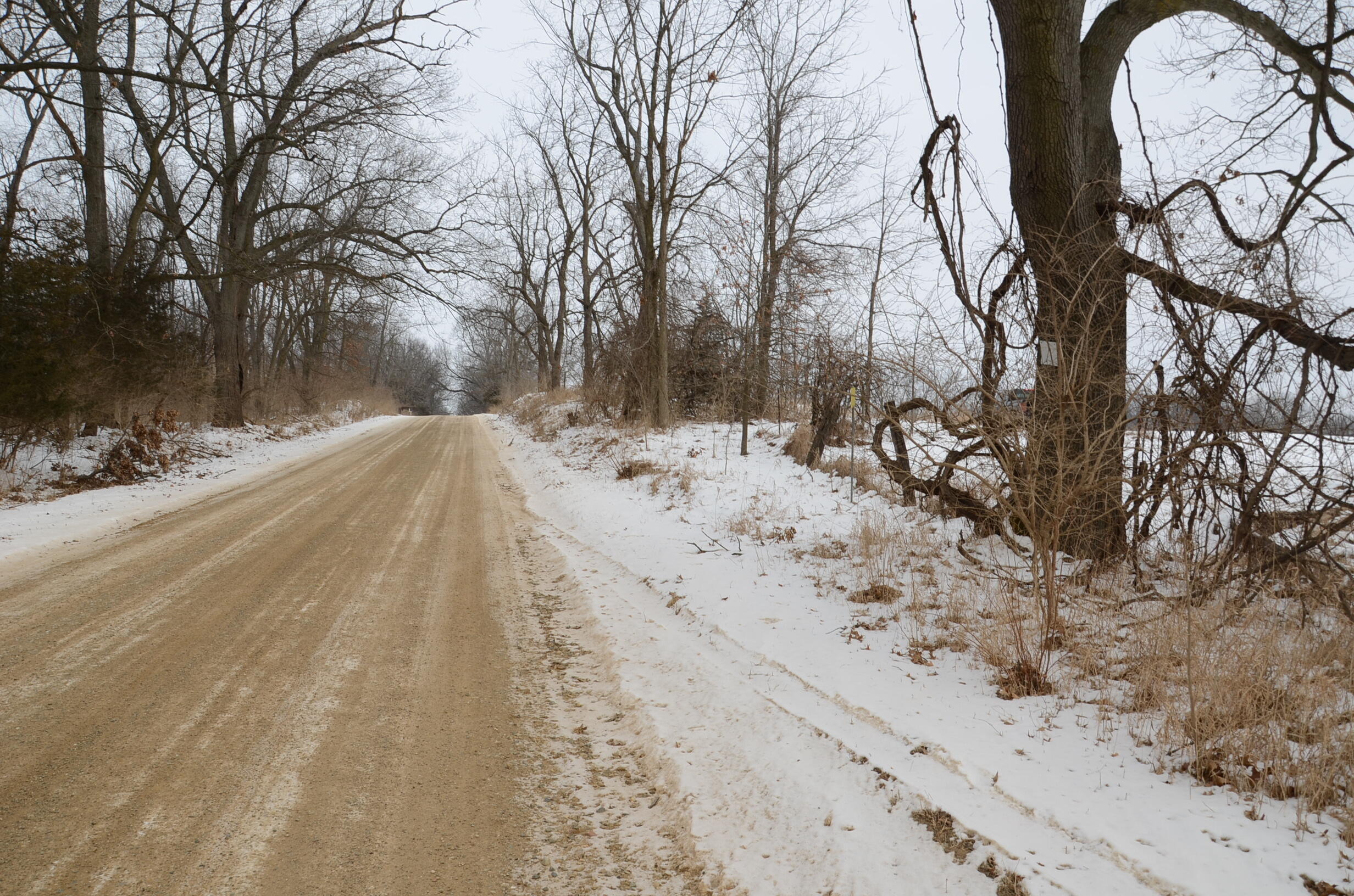 Dew Road Horton, MI 49246 - Photo 9 of 42 DSC_4432