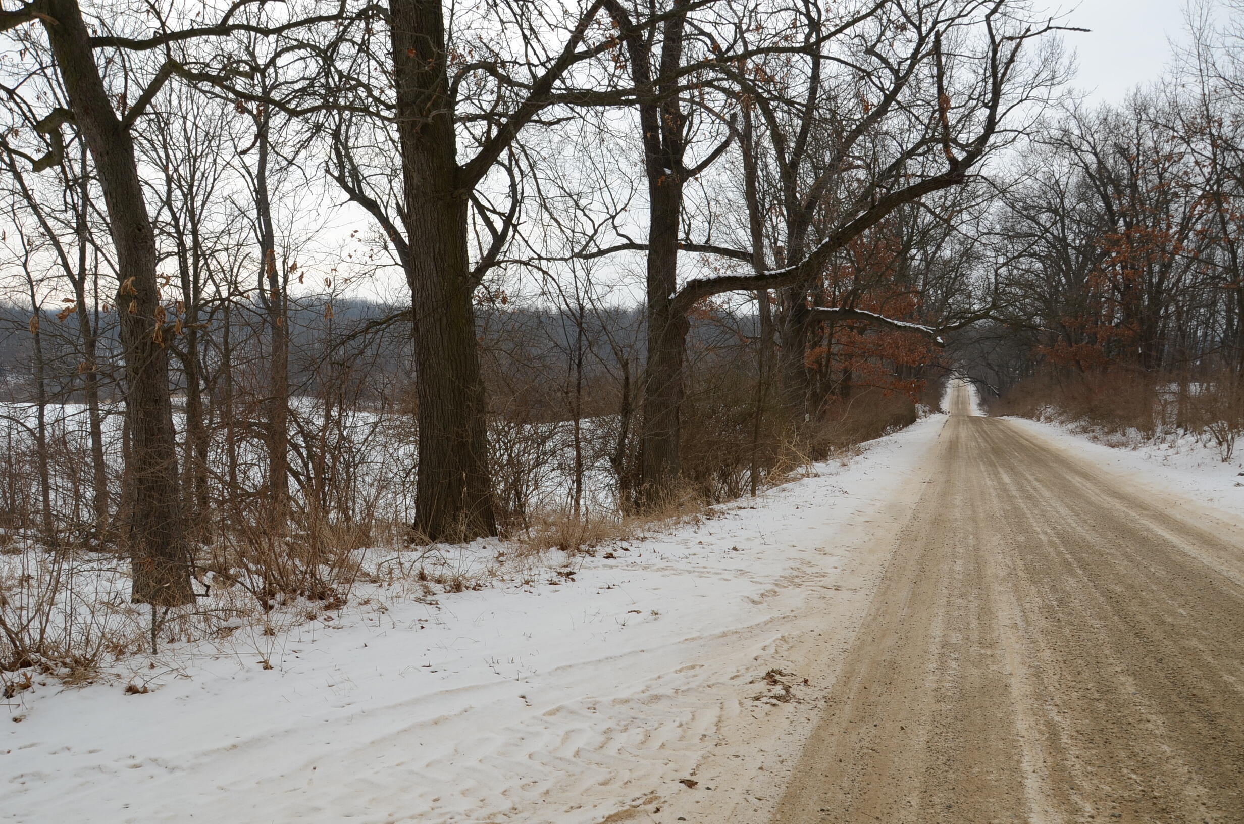 Dew Road Horton, MI 49246 - Photo 10 of 42 DSC_4433