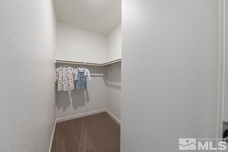 805 Egan Canyon Road, Unit LOT #6 Dayton, NV 89403 - Photo 15 of 18 Photo 15