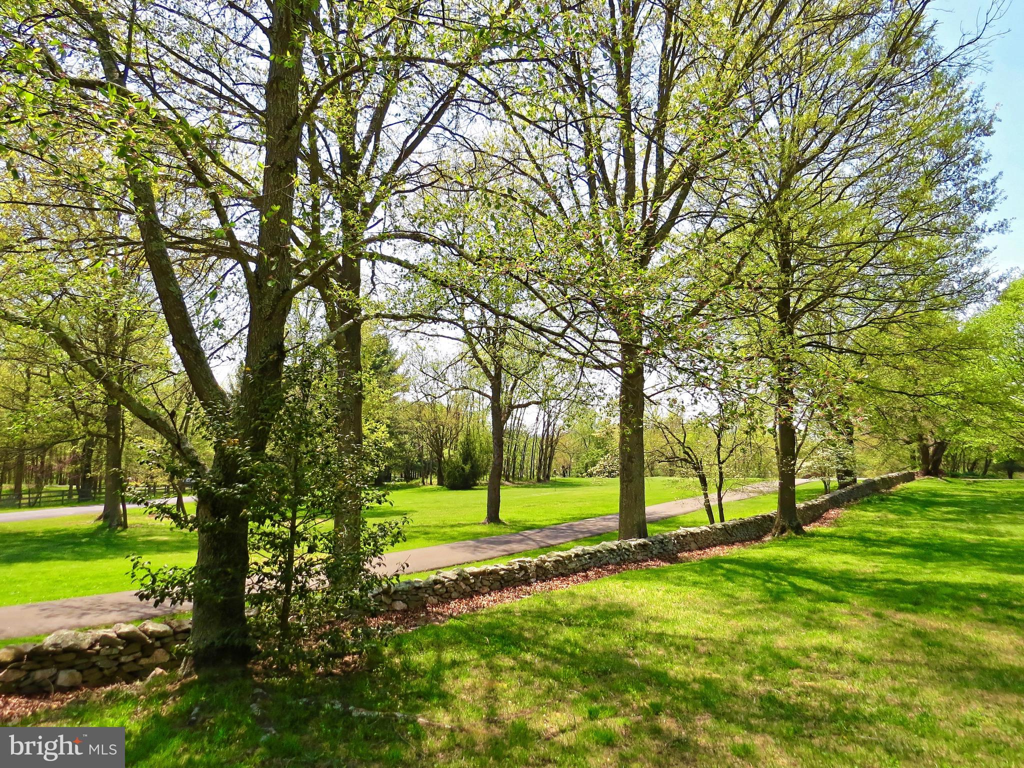 8908 Woodward Road Marshall, VA 20115 - Photo 5 of 53 Mature trees and rebuilt stonewalls