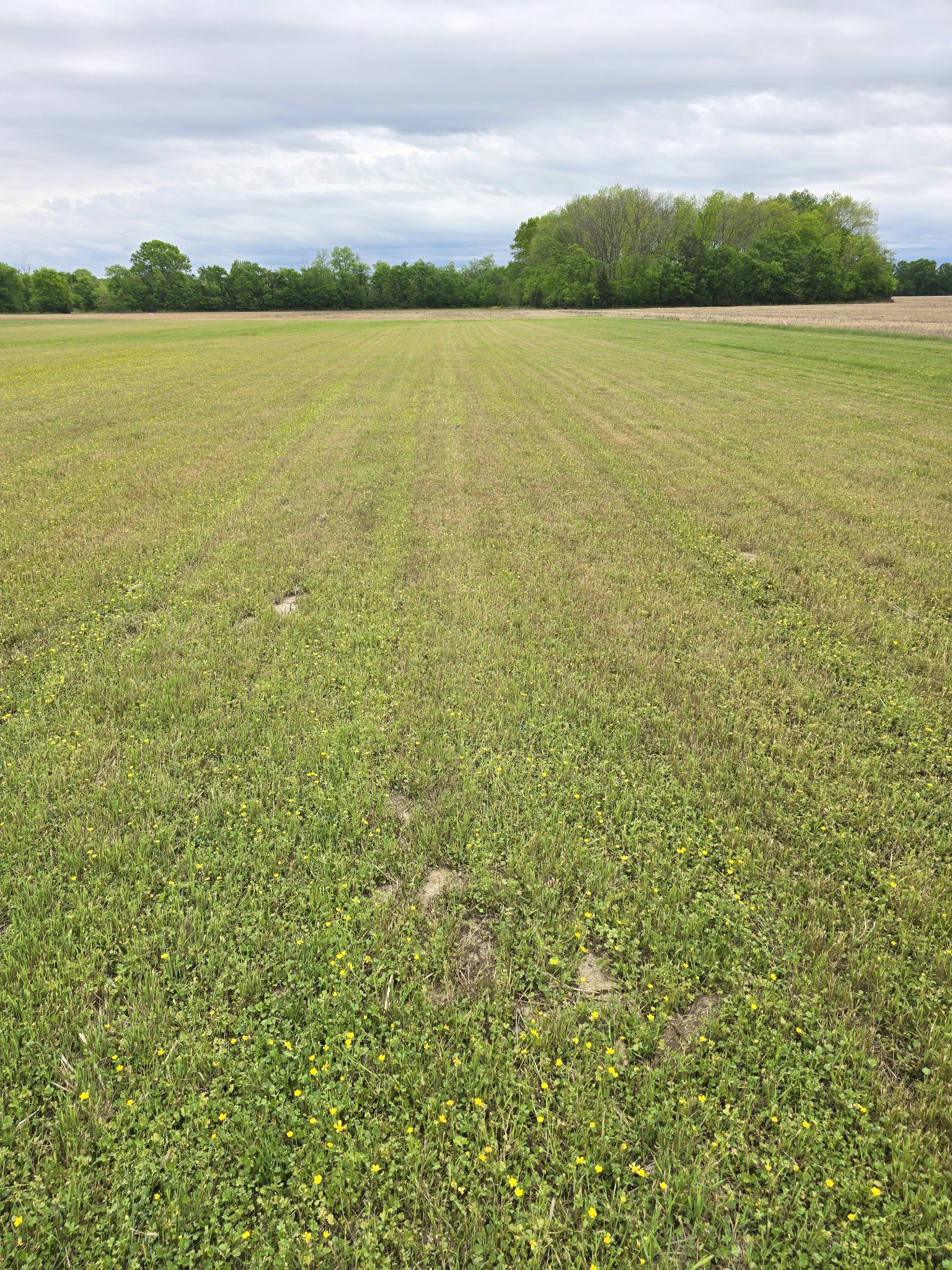 0 Shoemaker Road Eagleville, TN 37060 - Photo 10 of 17 Gallery Image 10