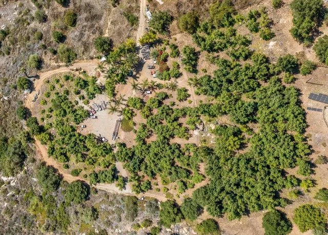 a view of a yard with a tree