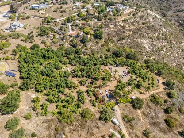 a view of a yard
