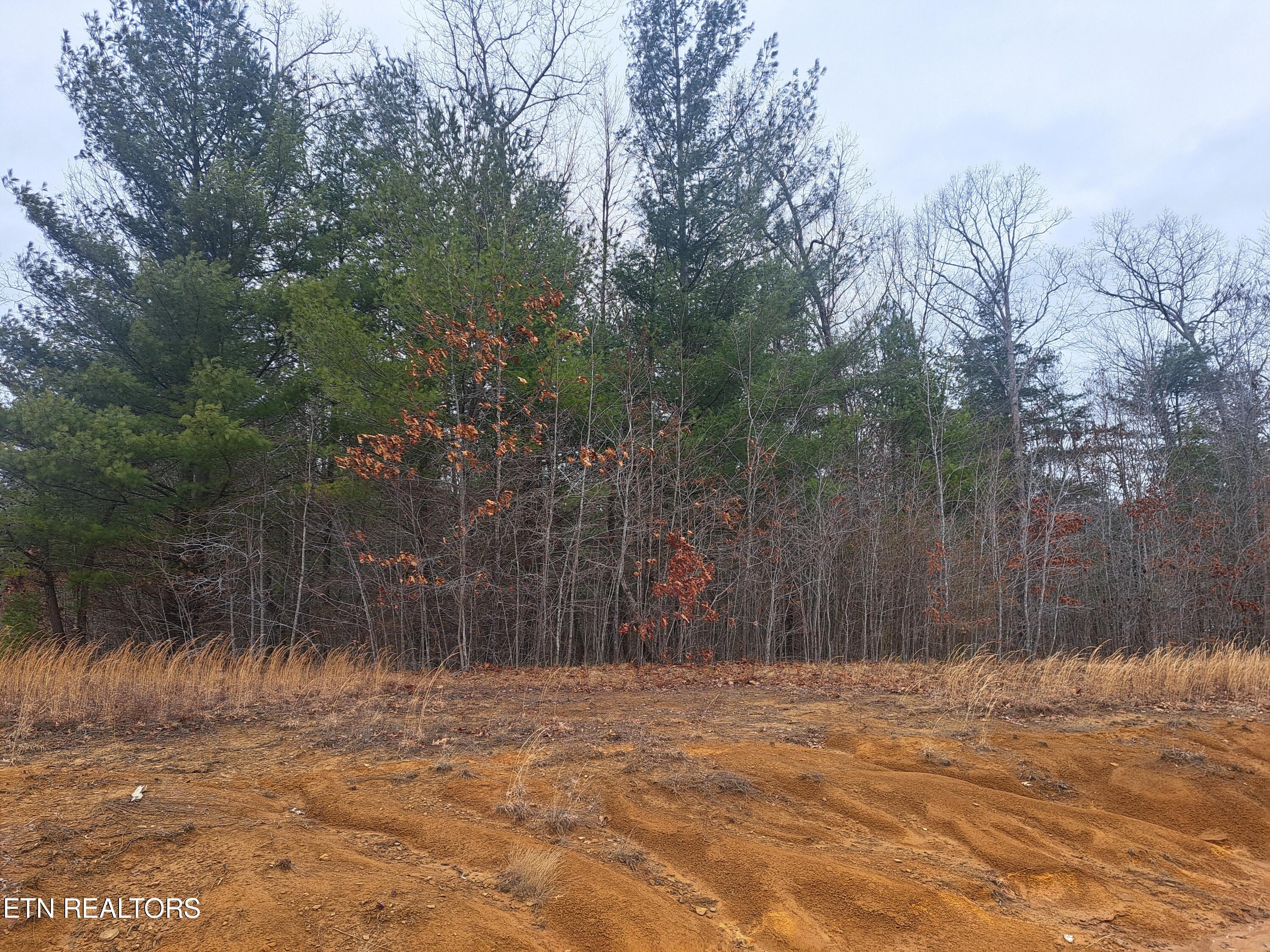 Toomey Falls Road Oneida, TN 37841 - Photo 1 of 8 20240124_115700