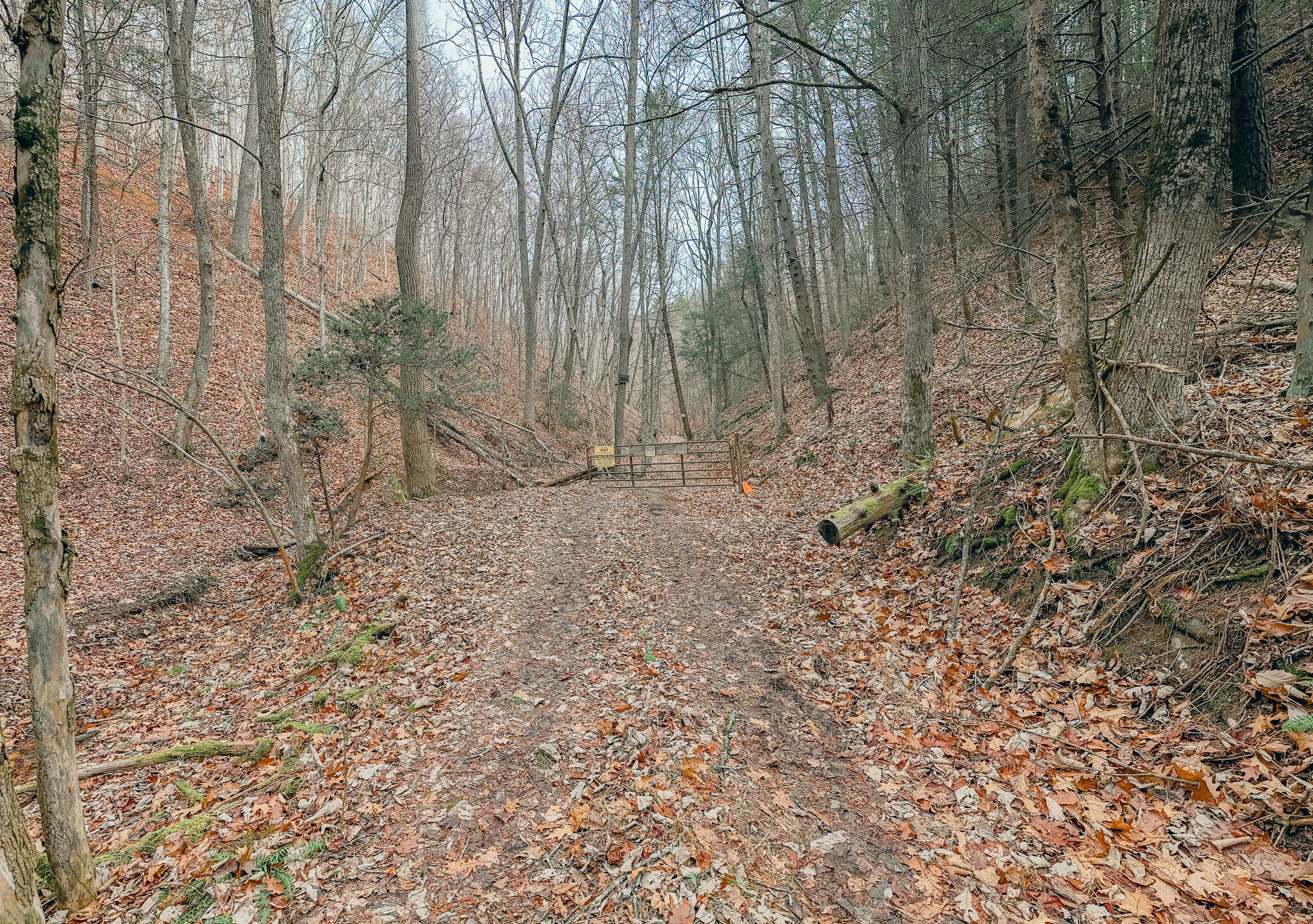 3909 Hodge Hollow Road Pulaski, VA 24301 - Photo 11 of 14 Clark pic 9