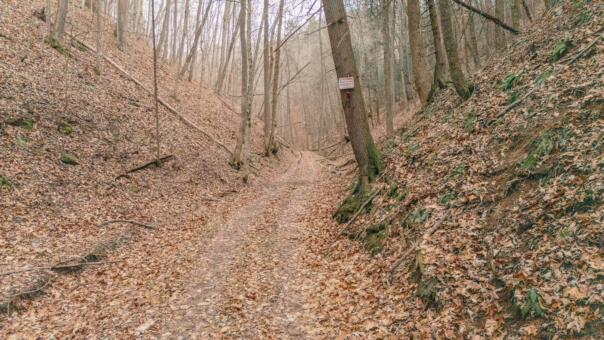 3909 Hodge Hollow Road Pulaski, VA 24301 - Photo 12 of 14 Clark pic 13