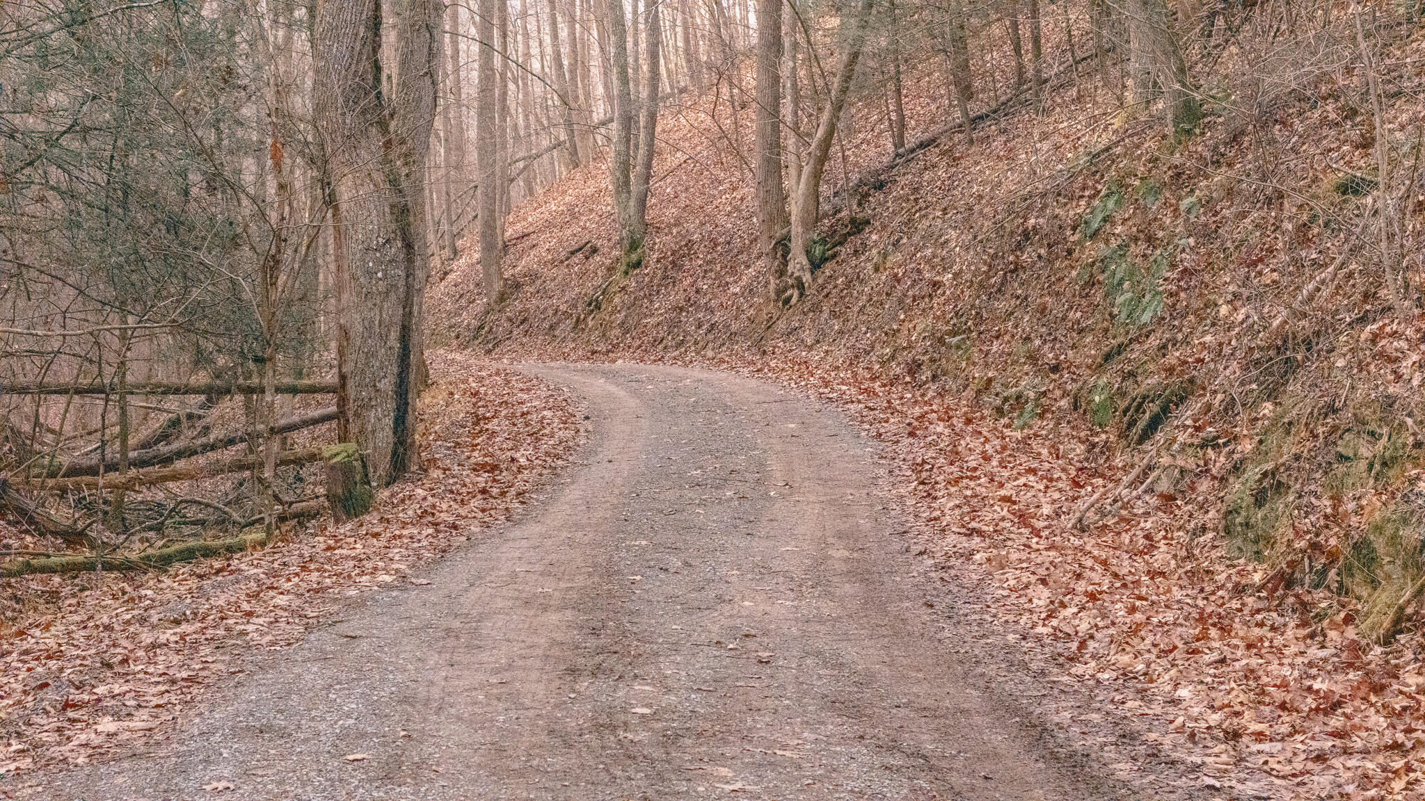 3909 Hodge Hollow Road Pulaski, VA 24301 - Photo 13 of 14 Clark pic 14
