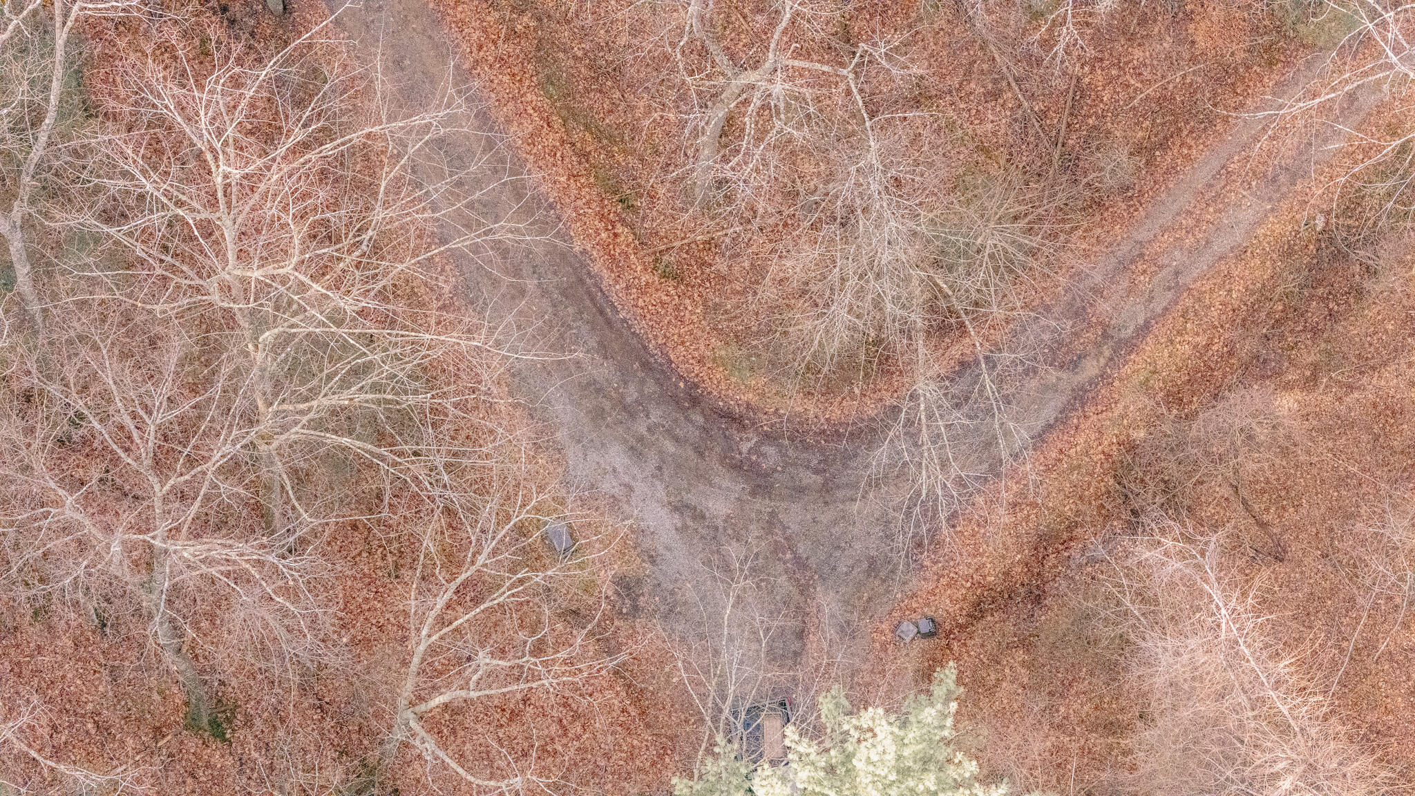 3909 Hodge Hollow Road Pulaski, VA 24301 - Photo 14 of 14 Clark pic 12