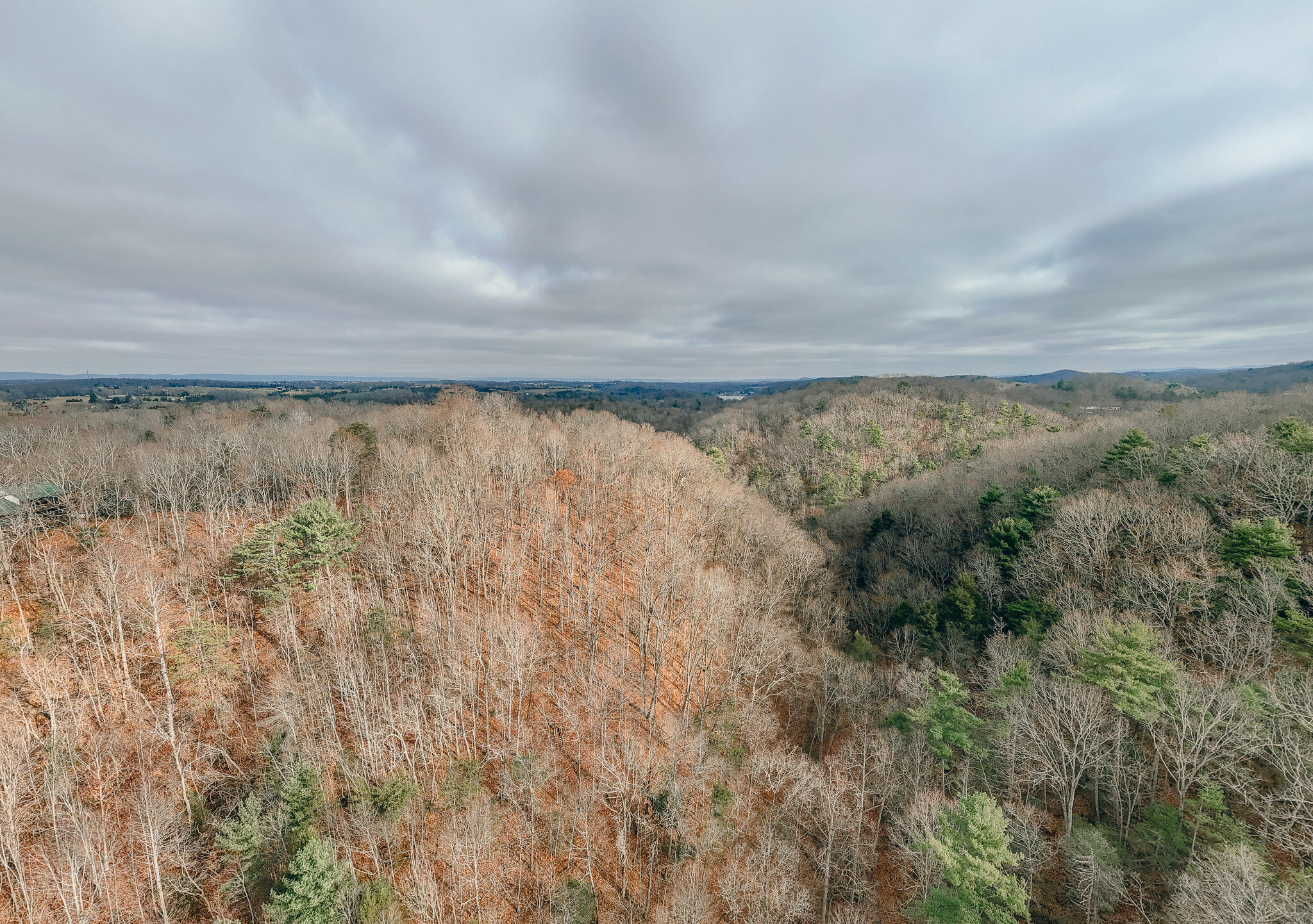 3909 Hodge Hollow Road Pulaski, VA 24301 - Photo 4 of 14 Clark pic 10