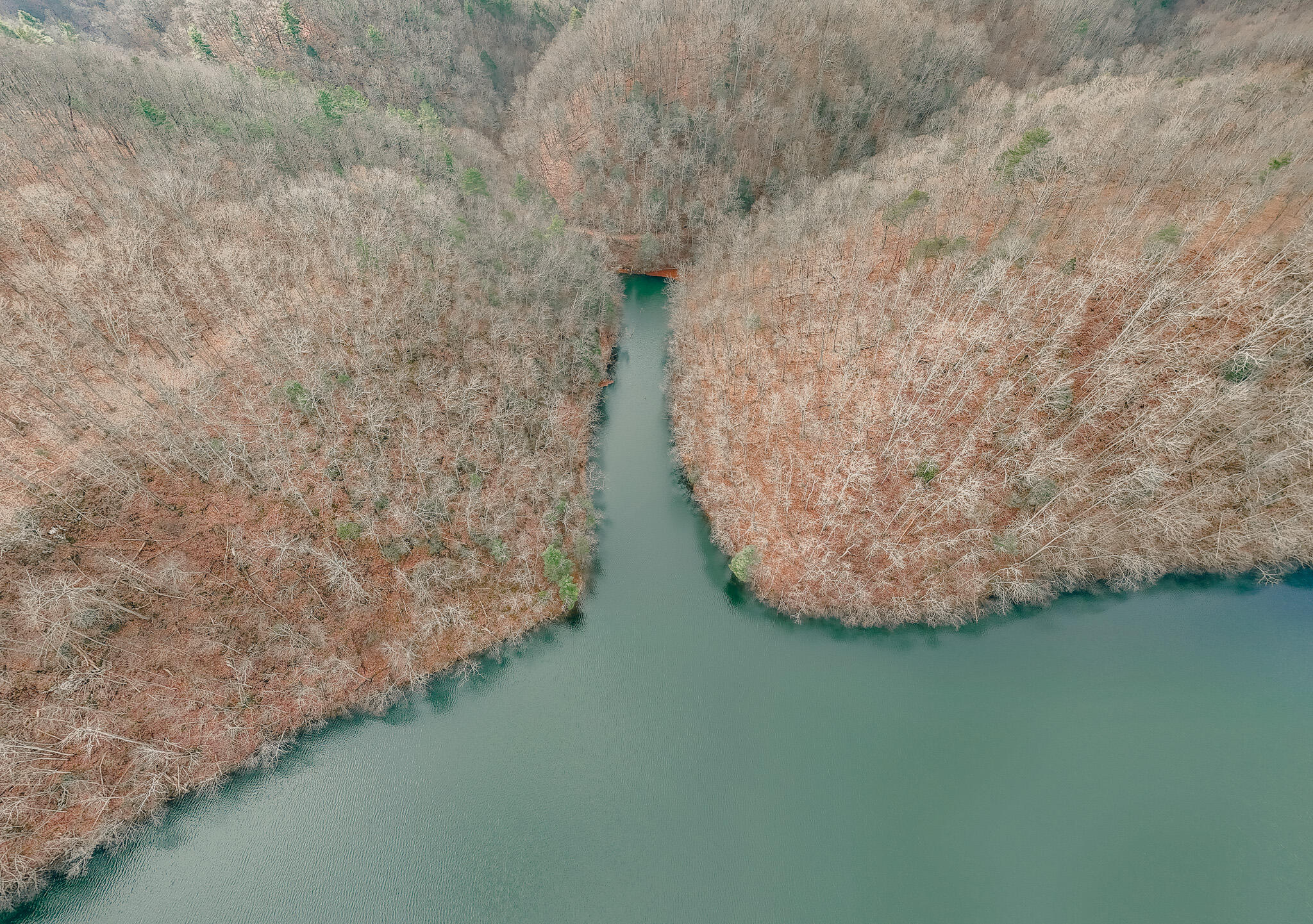 3909 Hodge Hollow Road Pulaski, VA 24301 - Photo 7 of 14 Clark pic 2