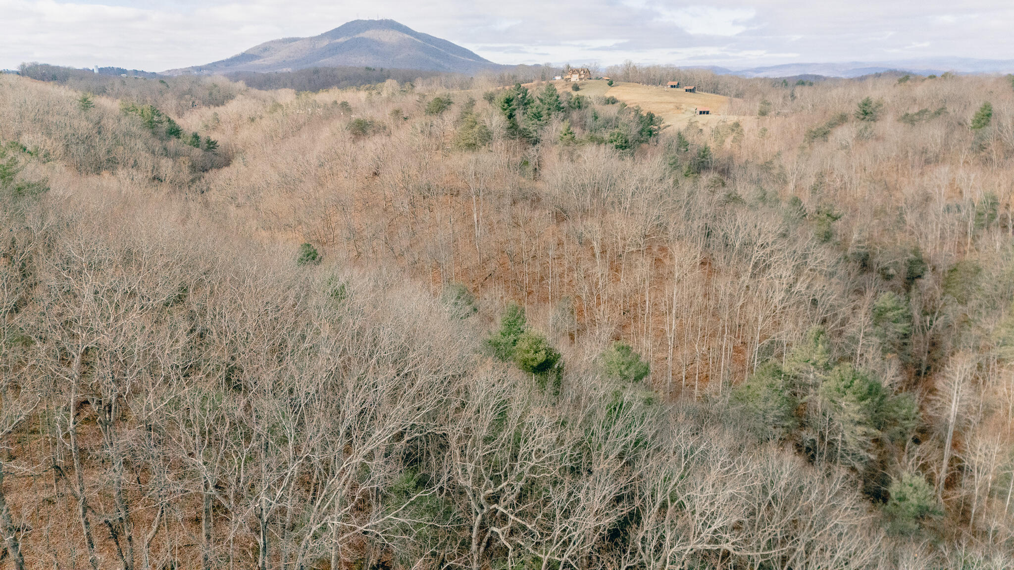 3909 Hodge Hollow Road Pulaski, VA 24301 - Photo 9 of 14 Clark pic 7