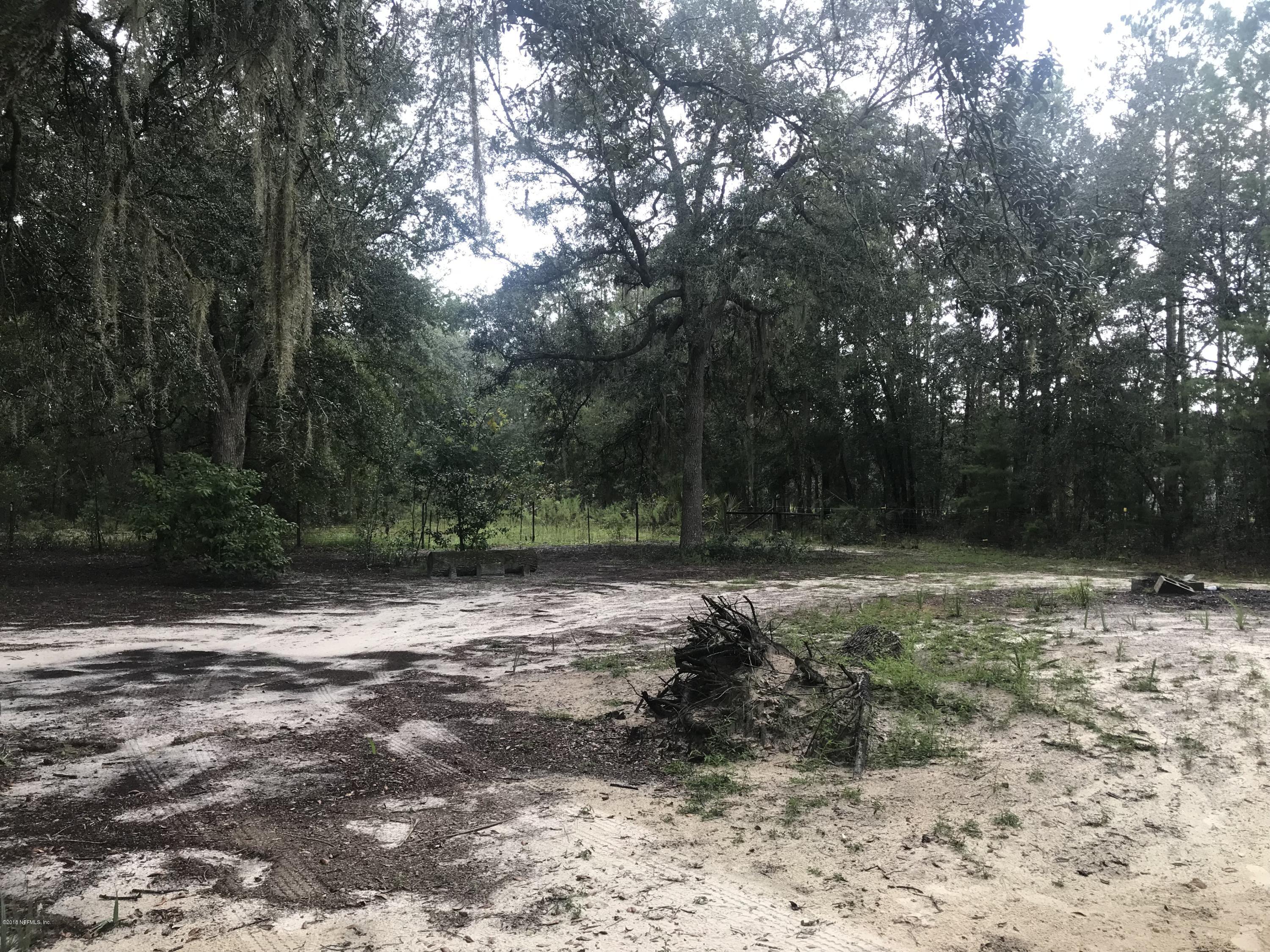 874 Cousintown Road Interlachen, FL 32148 - Photo 17 of 18 Backyard