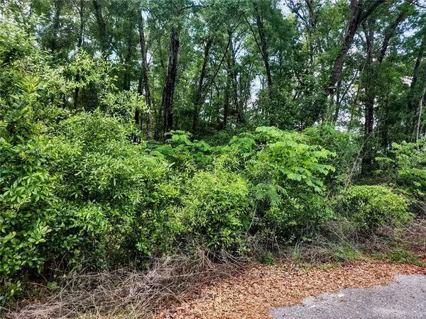 $15,000 | Tbd Northeast 6 Circle, Williston, FL 32696