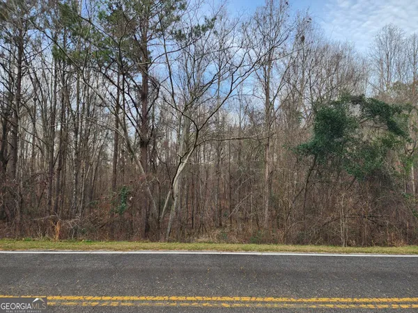 $45,000 | 0 U S Highway 80, Roberta, GA 31050