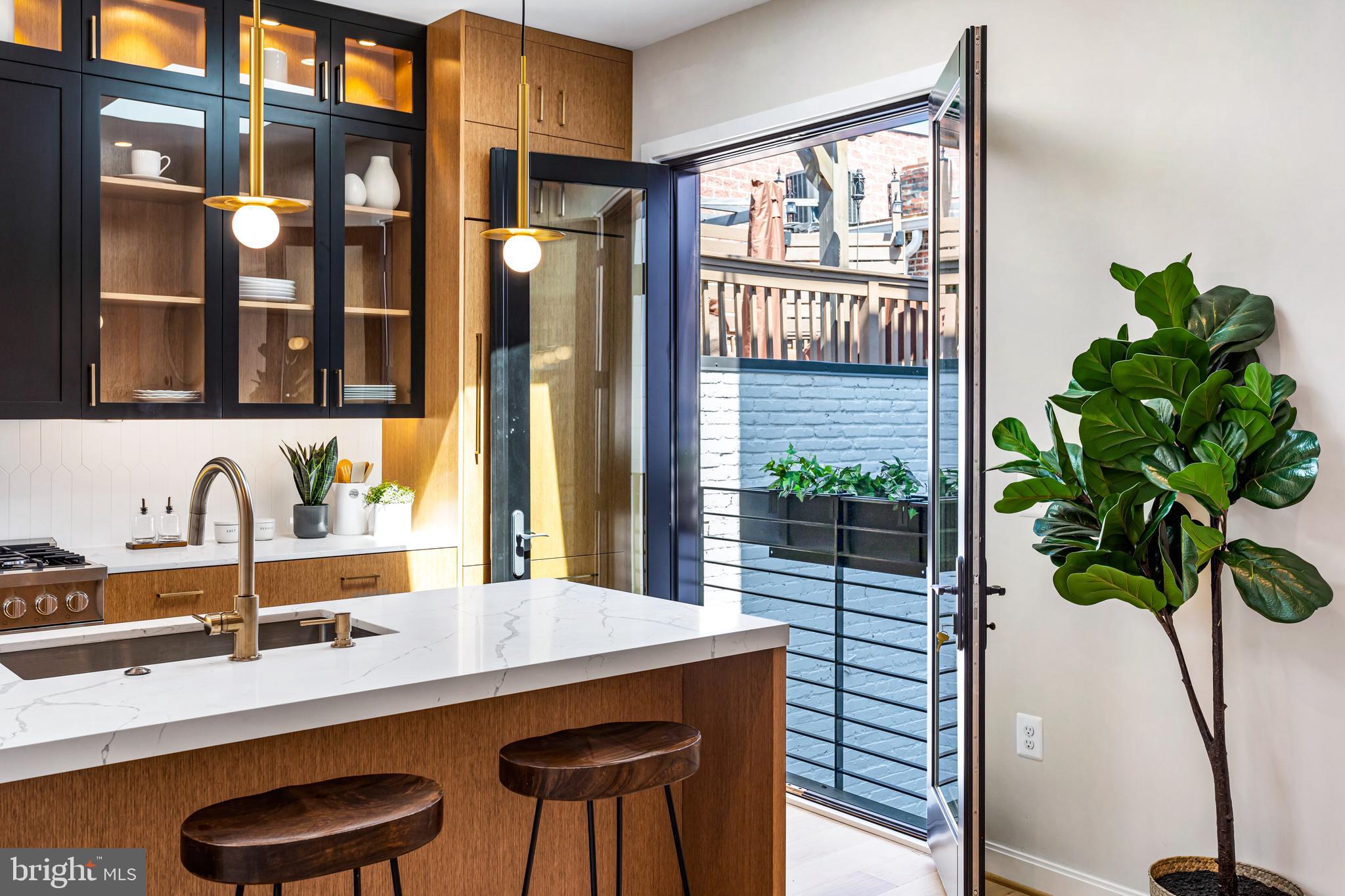 1402 12th Street Northwest, Unit 10 Washington, DC 20005 - Photo 13 of 38 a kitchen with a sink and a potted plant
