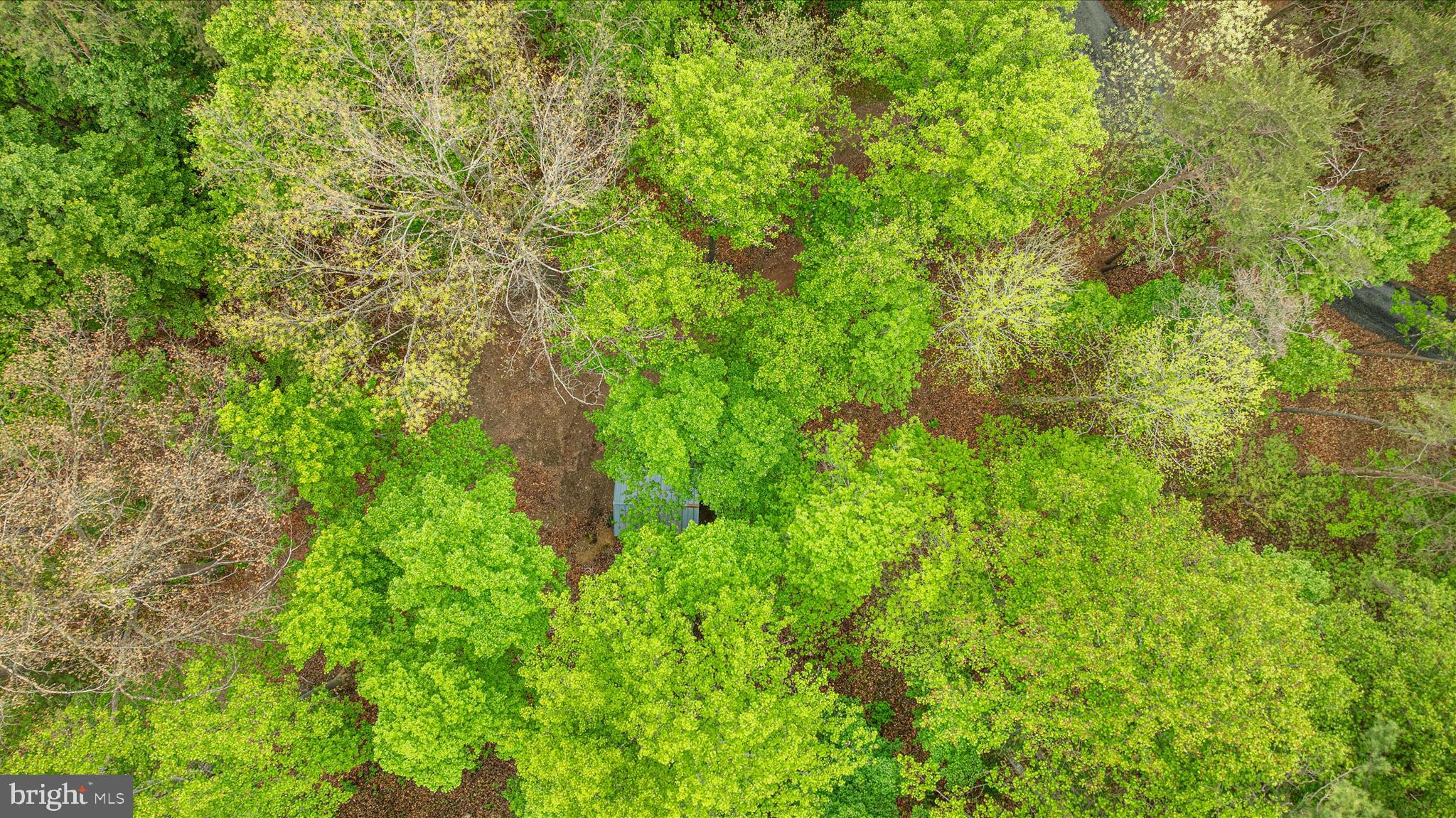 13581 Ford Hill Road Rio, WV 26755 - Photo 60 of 70 DJI_0462_13581 Ford hill Rd - Absolute Altitude -