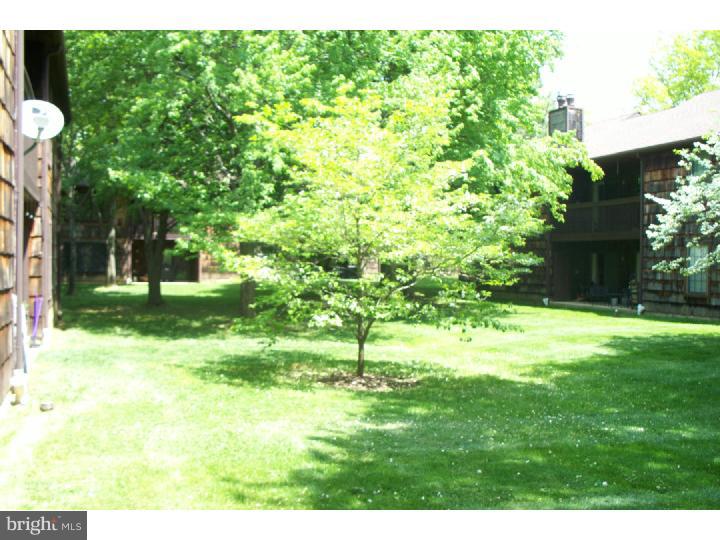 108 Chase Road Wayne, PA 19087 - Photo 14 of 18