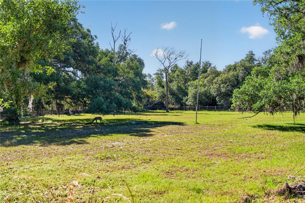 3711 Hidden River Road Sarasota, FL 34240 - Photo 5 of 45 Gallery Image 5