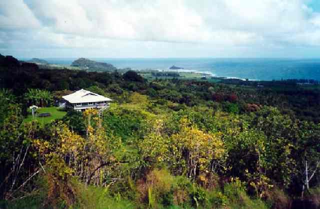 48 Mile Hana Road Hana, HI 96713 - Photo 1 of 17 Gallery Image 1