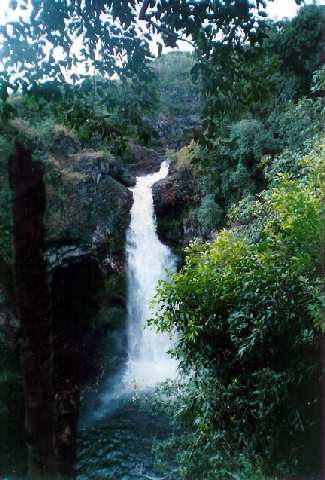 48 Mile Hana Road Hana, HI 96713 - Photo 13 of 17 Gallery Image 13