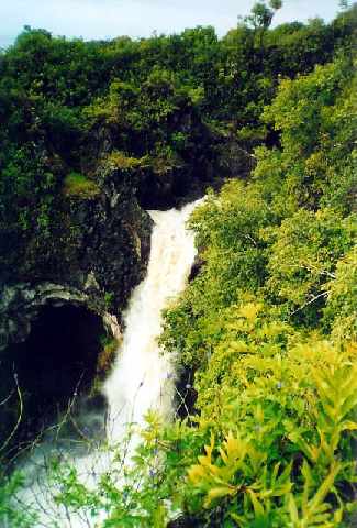 48 Mile Hana Road Hana, HI 96713 - Photo 14 of 17 Gallery Image 14
