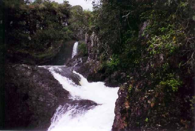 48 Mile Hana Road Hana, HI 96713 - Photo 15 of 17 Gallery Image 15