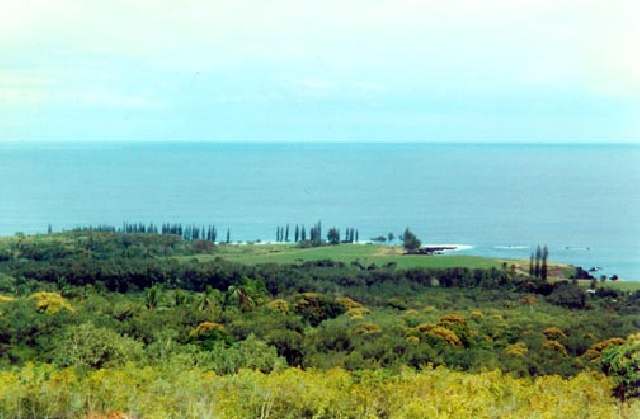 48 Mile Hana Road Hana, HI 96713 - Photo 9 of 17 Gallery Image 9