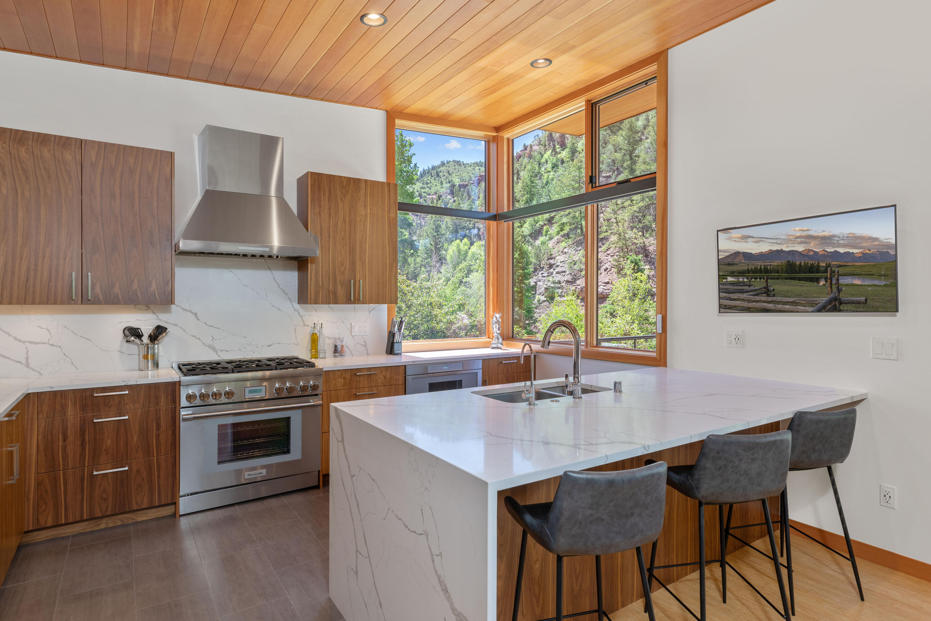 139 Stock Road Placerville, CO 81430 - Photo 4 of 24 C12A9860