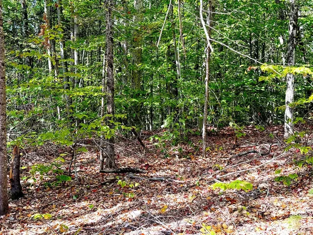 $270,000 | 715 North Groton Road, Hebron, NH 03241