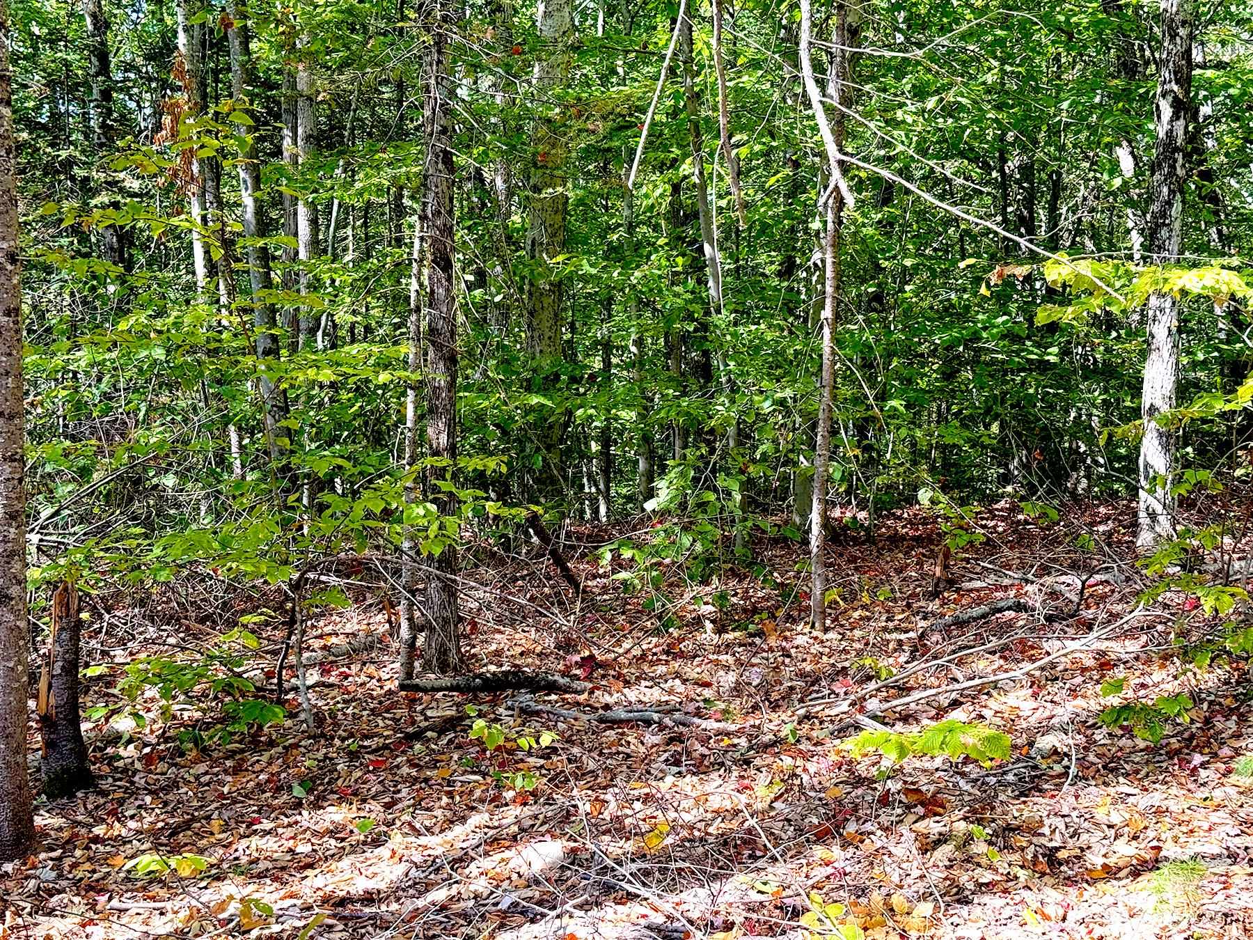 715 North Groton Road Hebron, NH 03241 - Photo 49 of 55