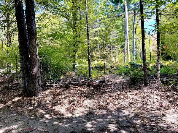 $215,000 | 715 North Groton Road, Hebron, NH 03241