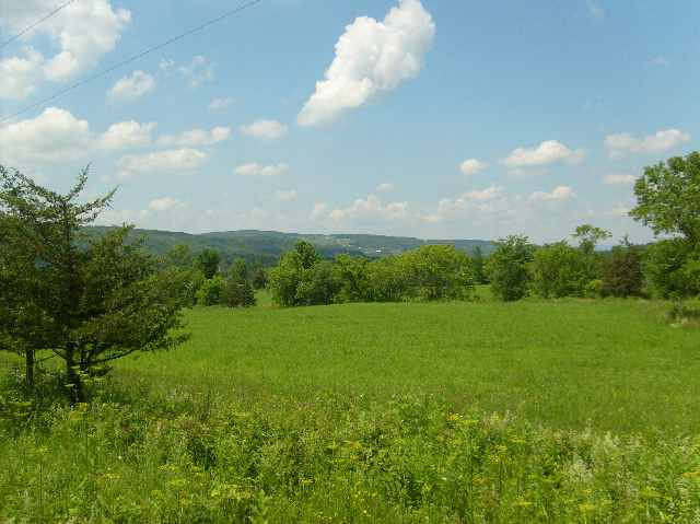 5 Peck Road Florida, NY 12010 - Photo 4 of 6 Photo 4