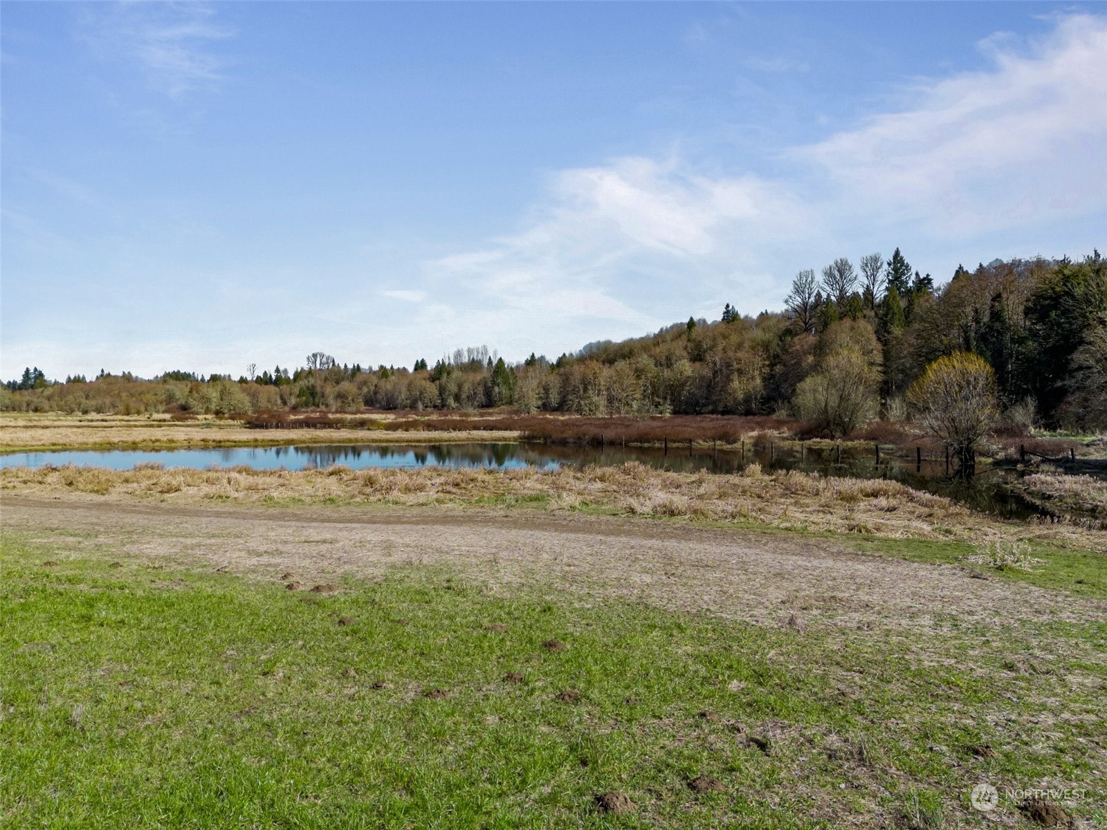 870 Imboden Road Castle Rock, WA 98611 - Photo 19 of 32