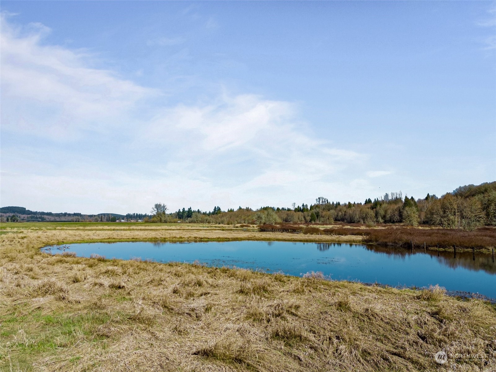 870 Imboden Road Castle Rock, WA 98611 - Photo 20 of 32