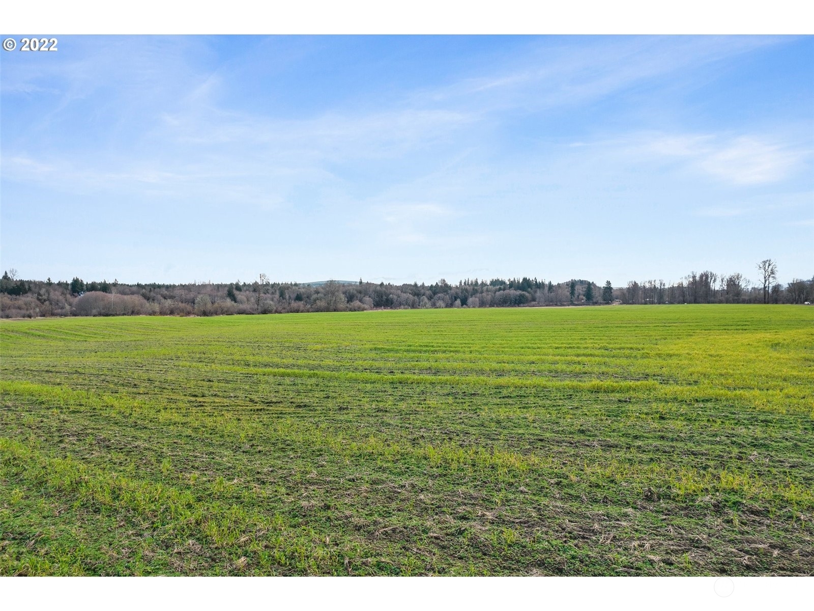 870 Imboden Road Castle Rock, WA 98611 - Photo 26 of 32
