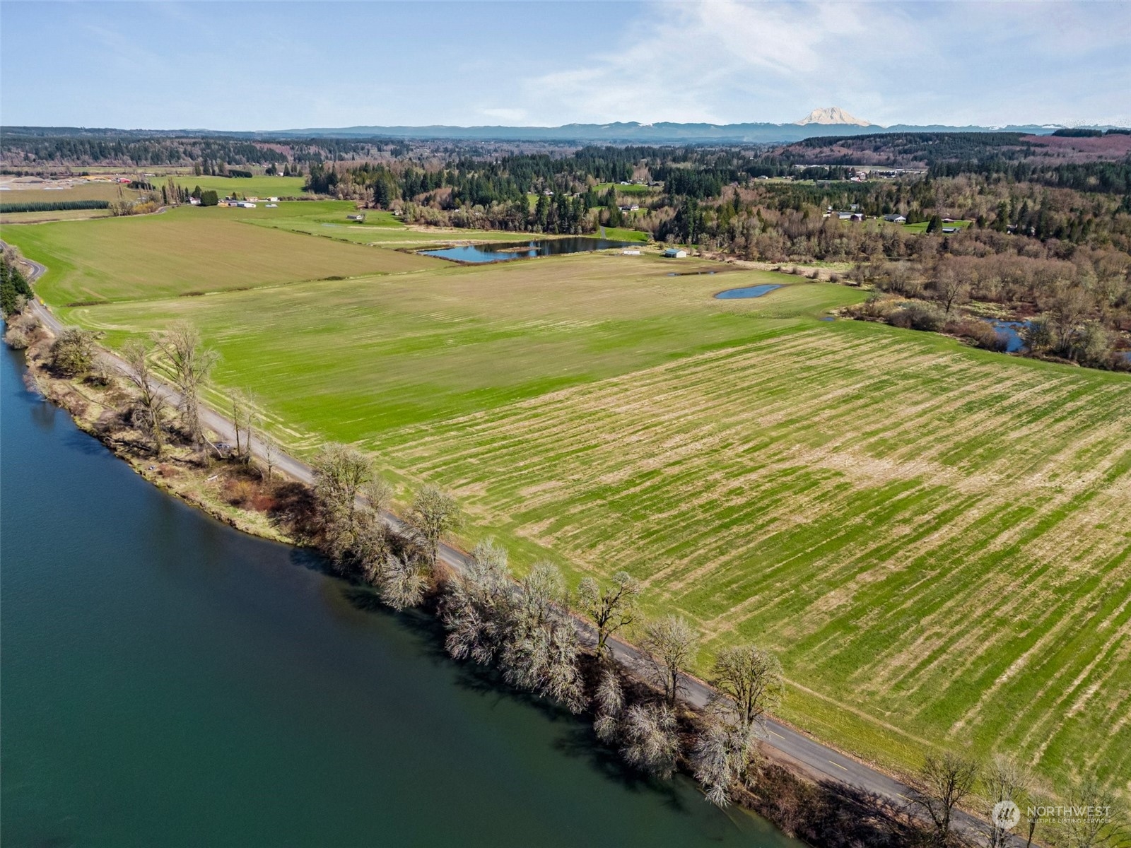 870 Imboden Road Castle Rock, WA 98611 - Photo 9 of 32
