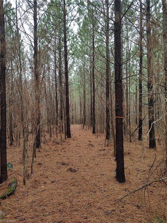 0 Hw Phillips Road Lexington, NC 27295 - Photo 1 of 6 Gallery Image 1